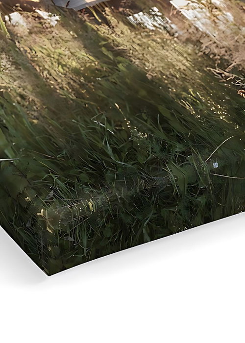 Wallity Artcanvas100 Multicolor 40 x 60 cm Wallity Artcanvas100 Multicolor 40 x 60 cm